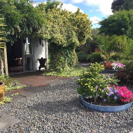 The Olive Grove Guest House Te Kopuru Luaran gambar